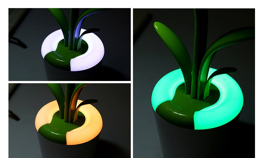 Colourful Desk lamp