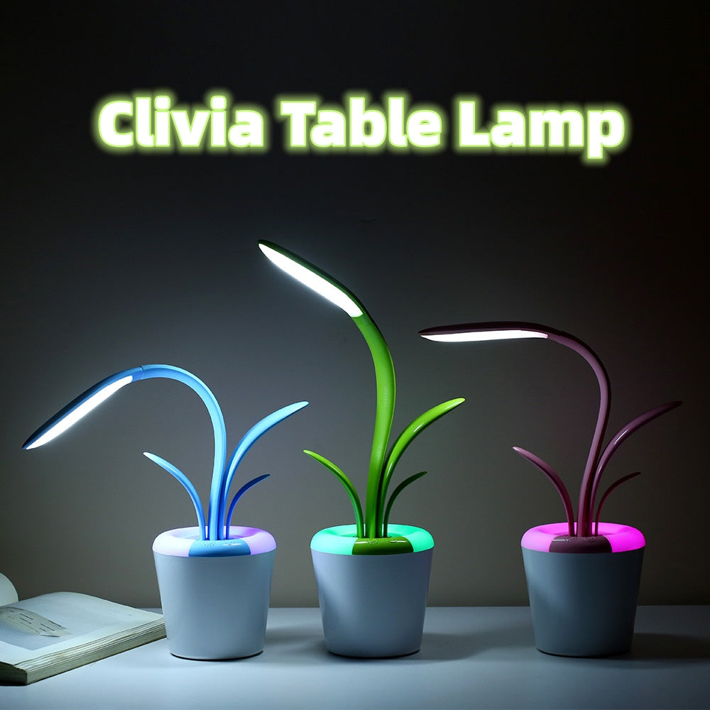 Colourful Desk lamp
